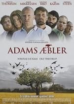 Adams æbler - CIN