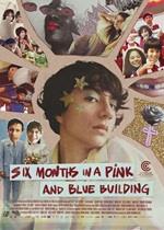 Six Months in a Pink and Blue Building