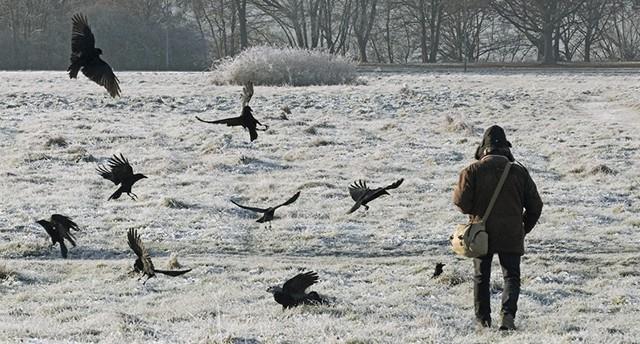 CPH:DOX: Watching People Watching Birds