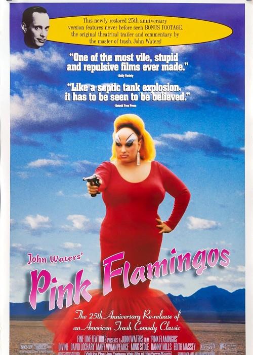 PINK FLAMINGOS - CIN